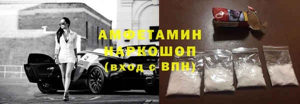 ПСИЛОЦИБИНОВЫЕ ГРИБЫ Инта