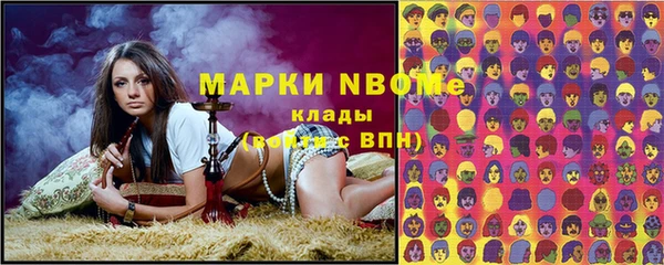 сатива Иннополис
