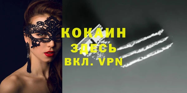 сатива Иннополис