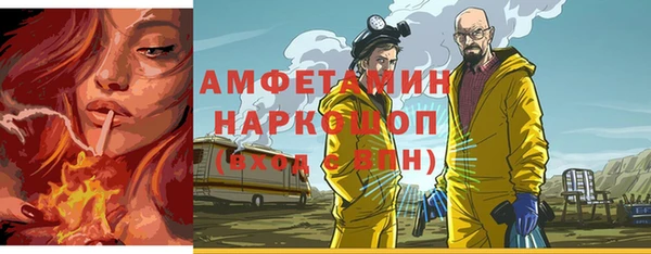 ПСИЛОЦИБИНОВЫЕ ГРИБЫ Инта