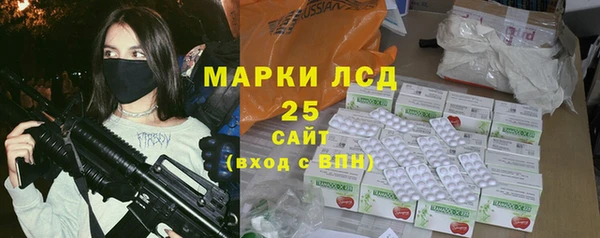 сатива Иннополис