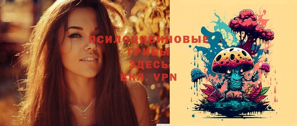 ПСИЛОЦИБИНОВЫЕ ГРИБЫ Инта