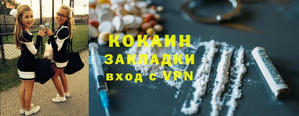 сатива Иннополис