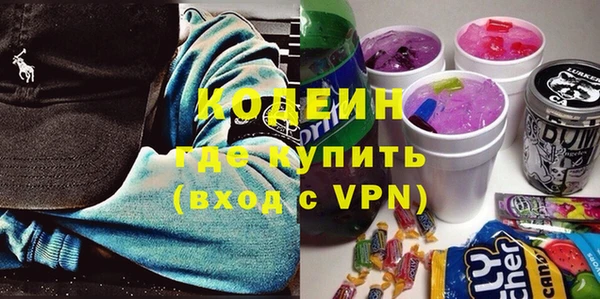 сатива Иннополис